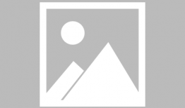 娱乐圈吃瓜三人组小说,瓜田里的秘密风云